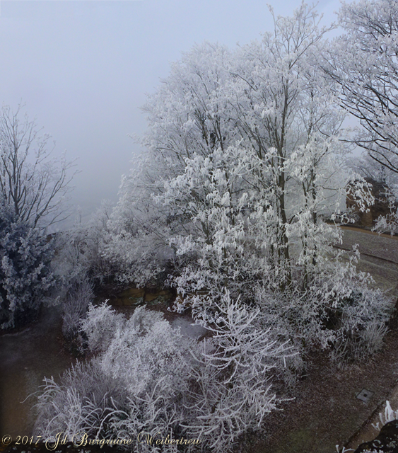 Blick vom 8-eck-Turm 02