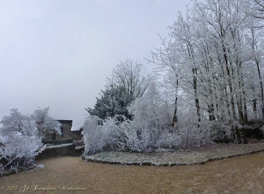 Sicht von Ausgang 8-eck-Turm 03